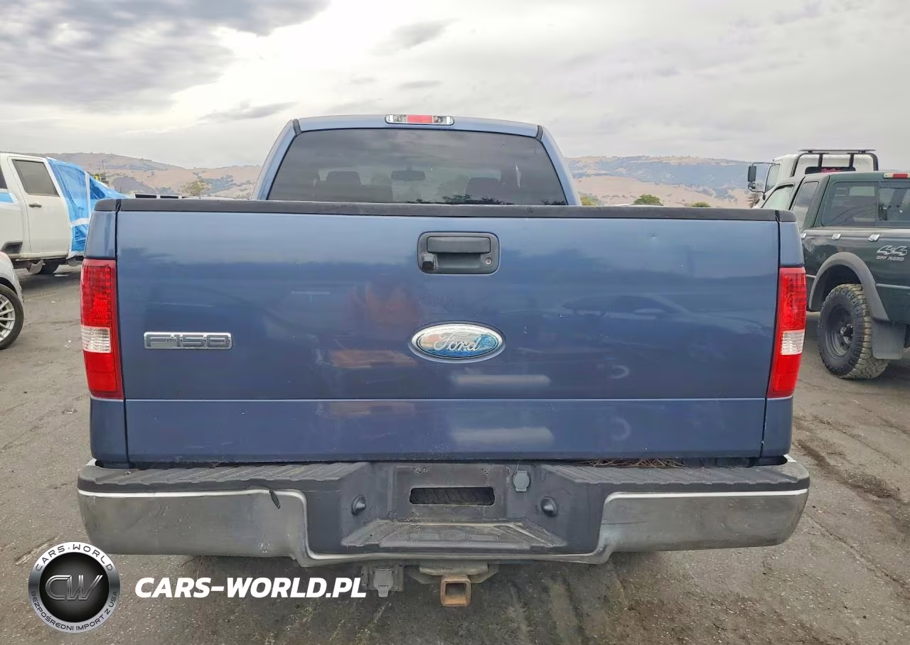 2006 Ford F150 VIN:1FTPX12566FA37861 - 6