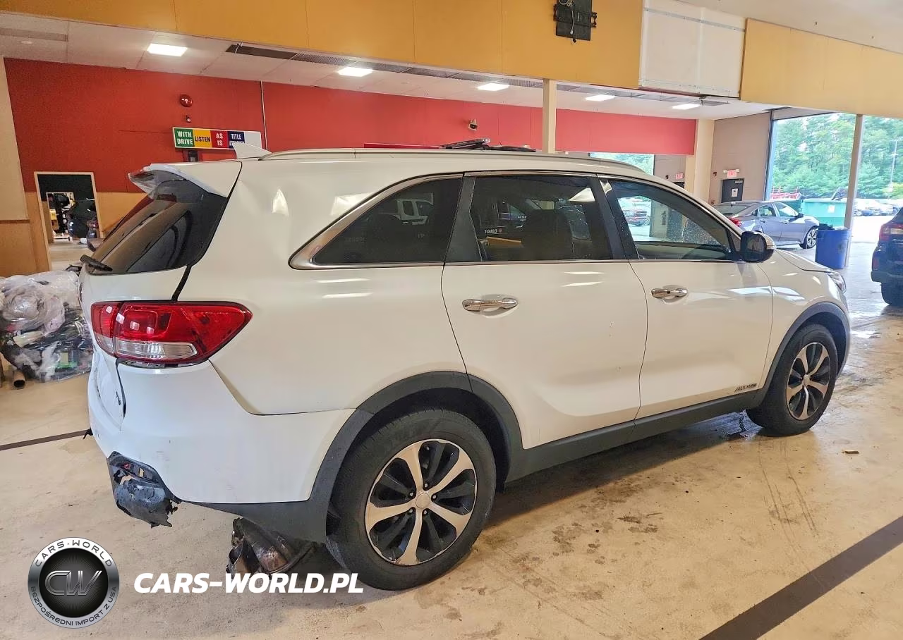 2016 Kia Sorento Ex VIN:5XYPHDA50GG141213 - 3