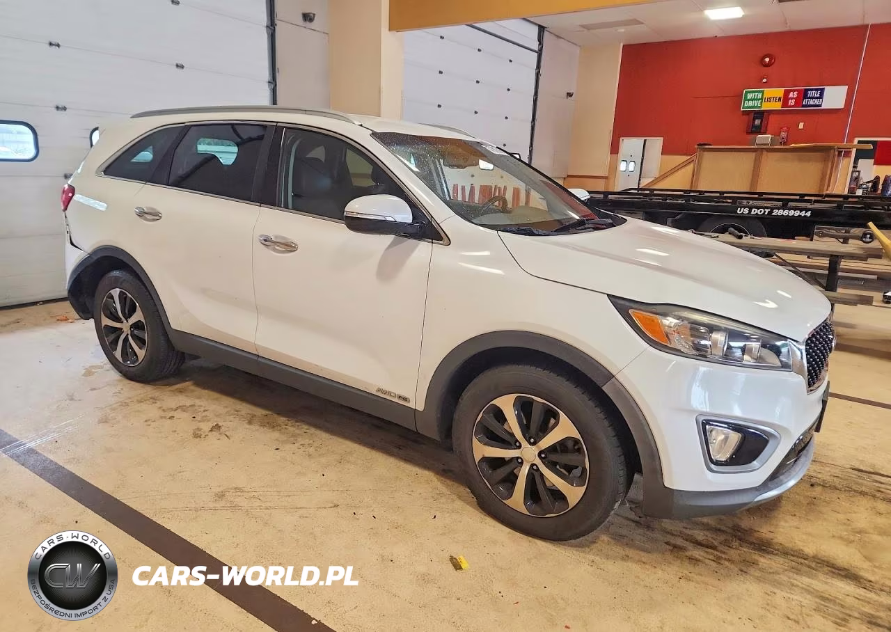 2016 Kia Sorento Ex VIN:5XYPHDA50GG141213 - 4