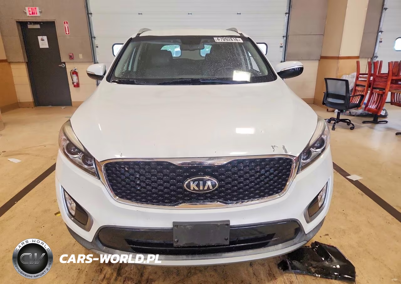 2016 Kia Sorento Ex VIN:5XYPHDA50GG141213 - 5