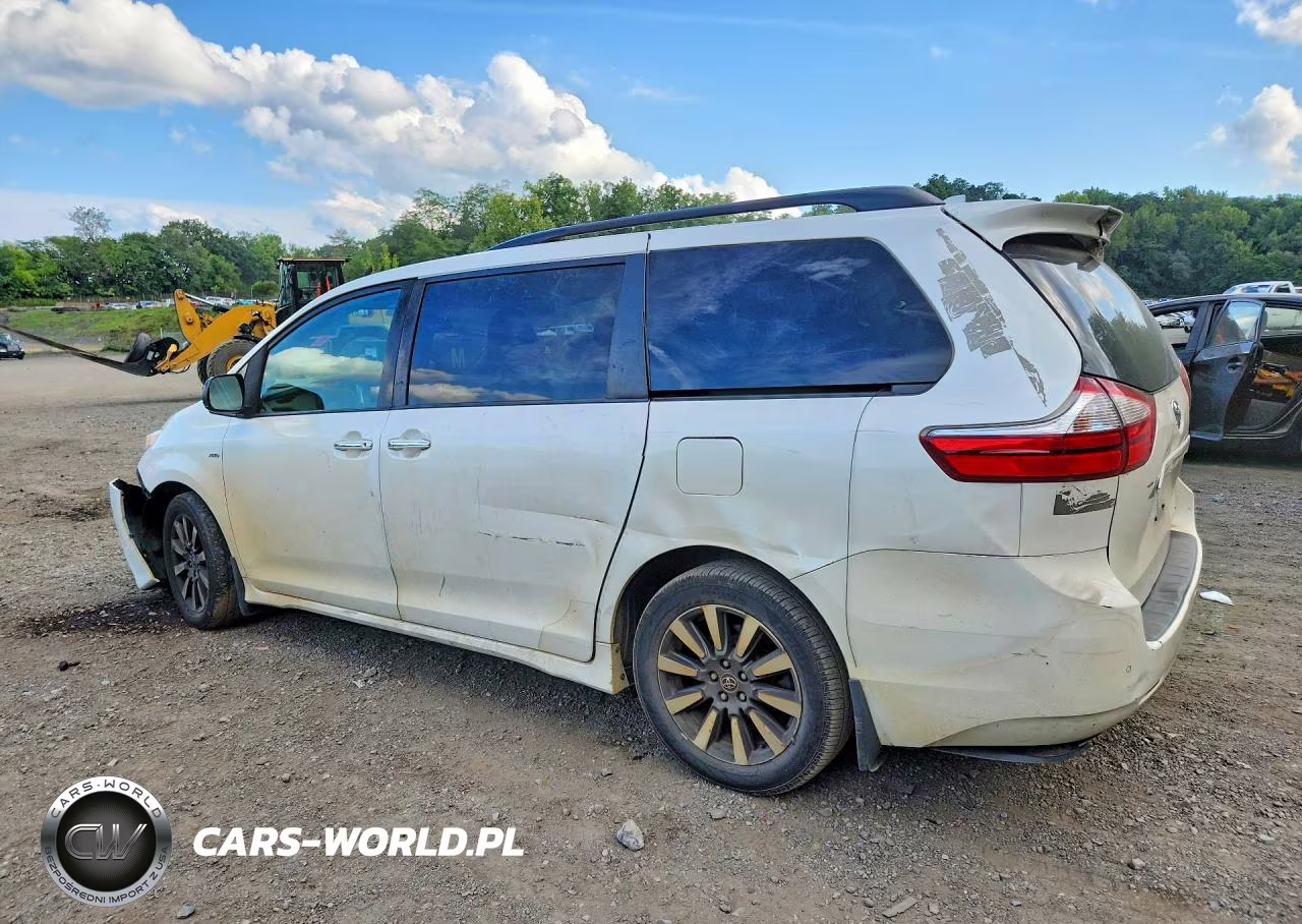 2019 Toyota Sienna Xle Premium 7-Passenger VIN:5TDDZ3DCXKS217892 - 2