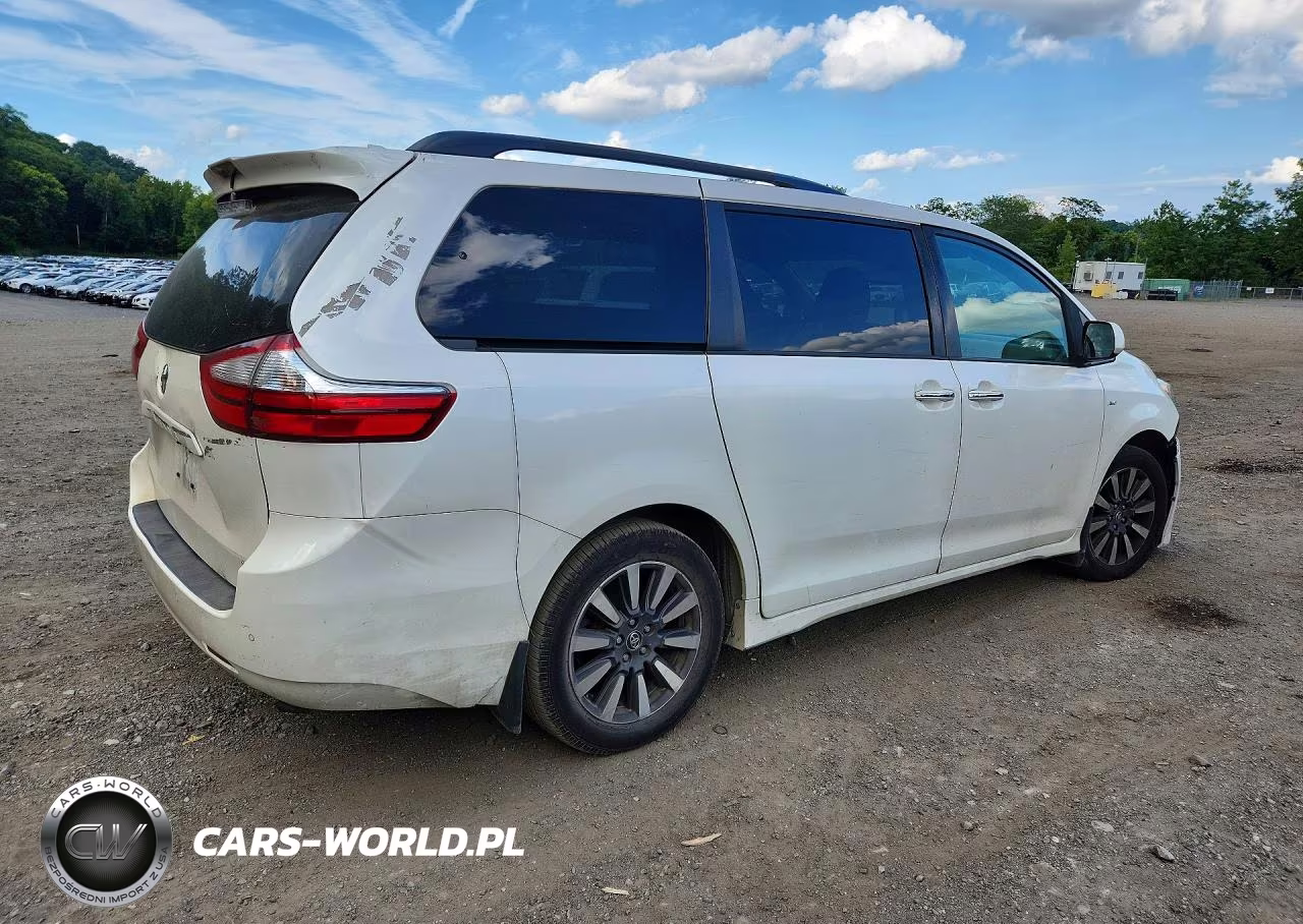 2019 Toyota Sienna Xle Premium 7-Passenger VIN:5TDDZ3DCXKS217892 - 3