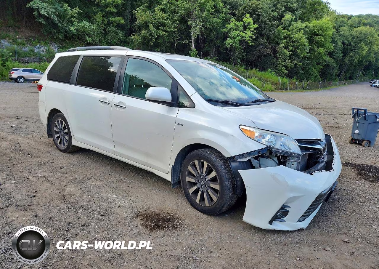 2019 Toyota Sienna Xle Premium 7-Passenger VIN:5TDDZ3DCXKS217892 - 4