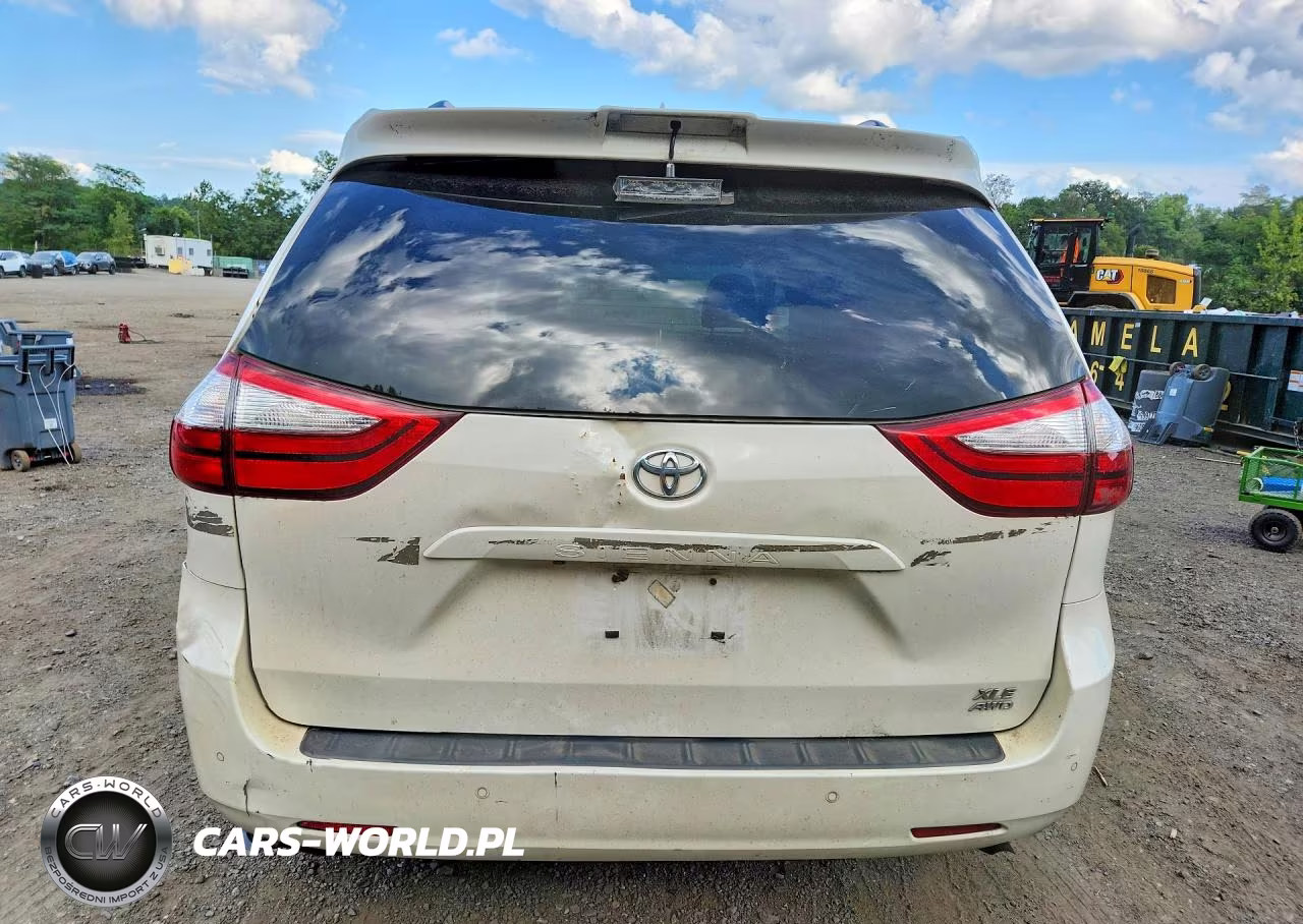 2019 Toyota Sienna Xle Premium 7-Passenger VIN:5TDDZ3DCXKS217892 - 6
