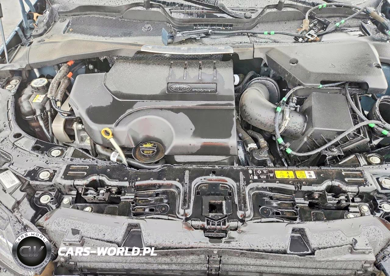 2024 Land Rover Range Rover Evoque Dynamic Se VIN:SALZL2FX5RH253594 - 12