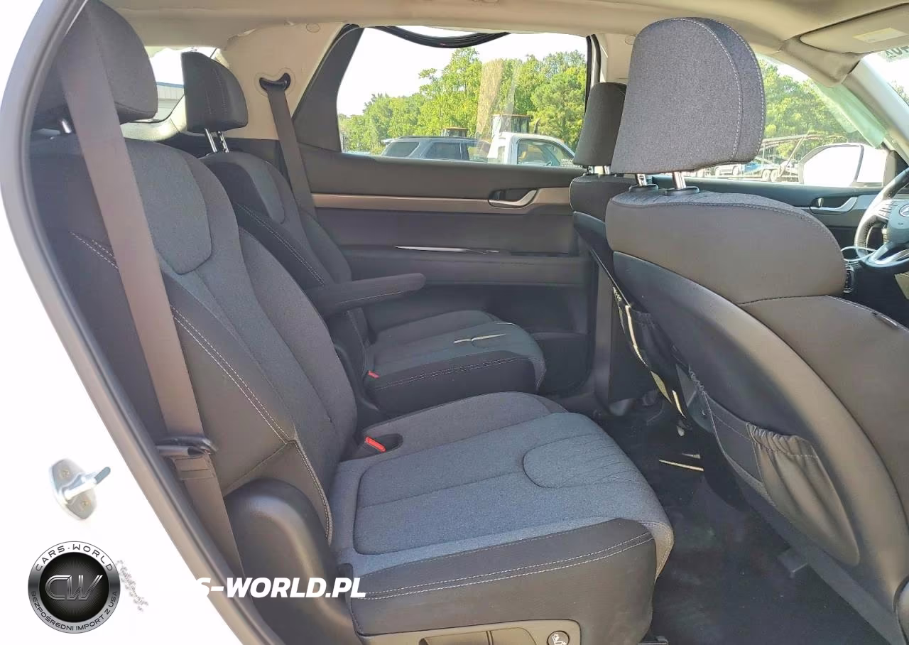 2022 Hyundai Palisade Sel VIN:KM8R2DHEXNU487633 - 10