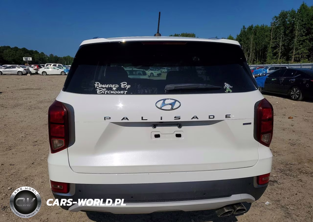 2022 Hyundai Palisade Sel VIN:KM8R2DHEXNU487633 - 6