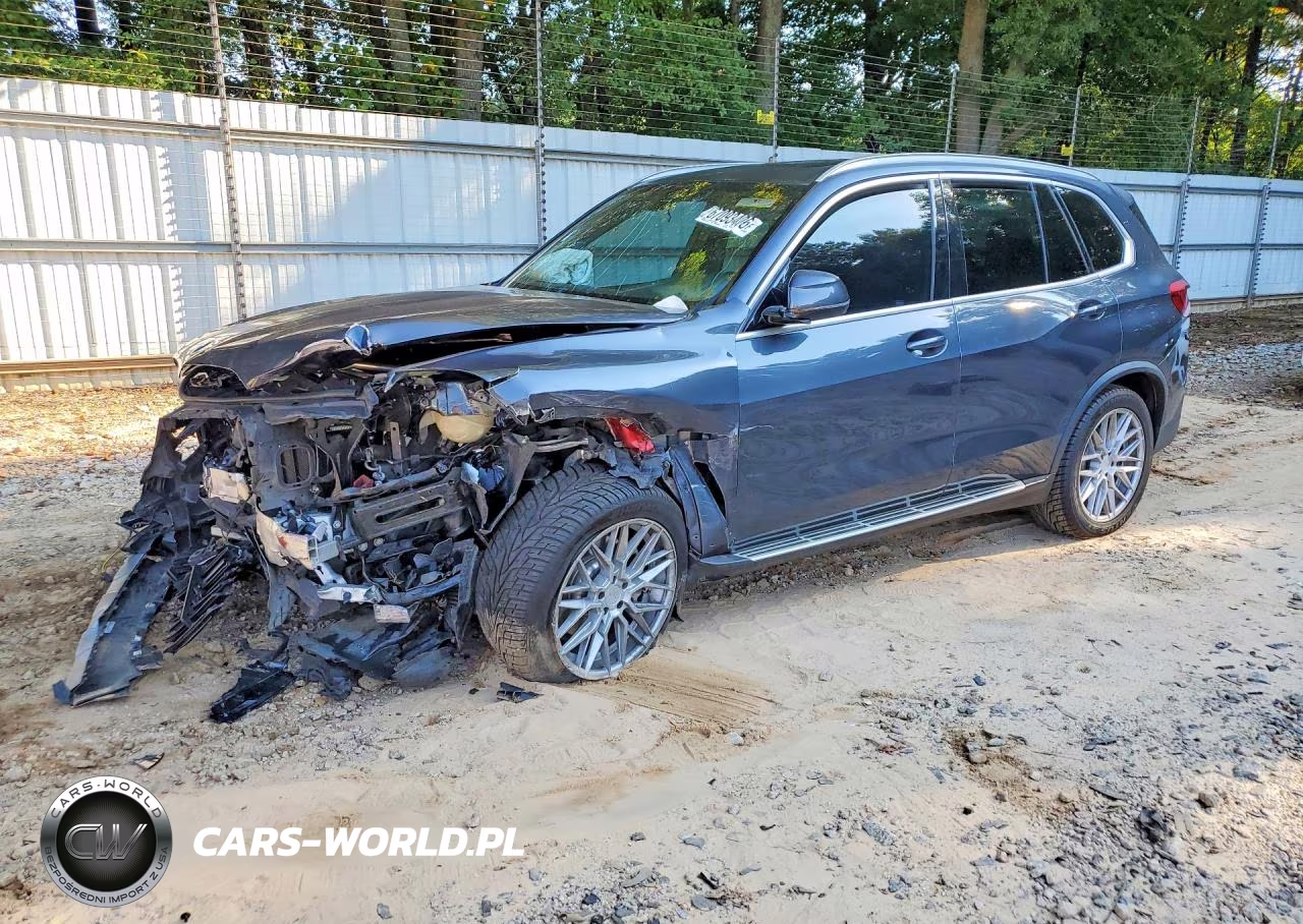 2019 BMW X5 xDrive40I – zdjęcie 1 z 13