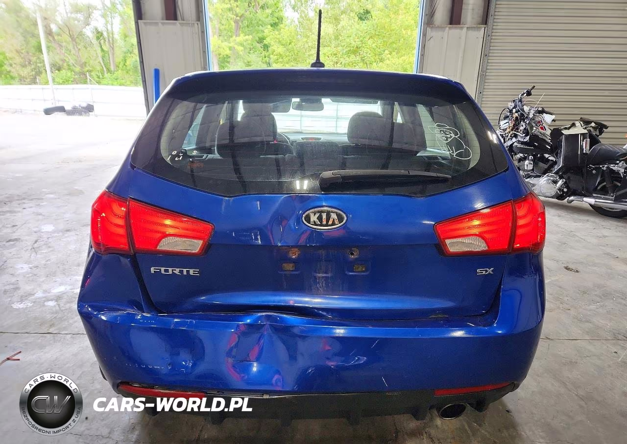 2013 Kia Forte5 Sx VIN:KNAFW5A39D5667265 - 6