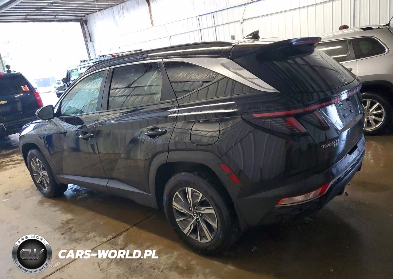 2023 Hyundai Tucson Blue VIN:KM8JBCA15PU091871 - 2