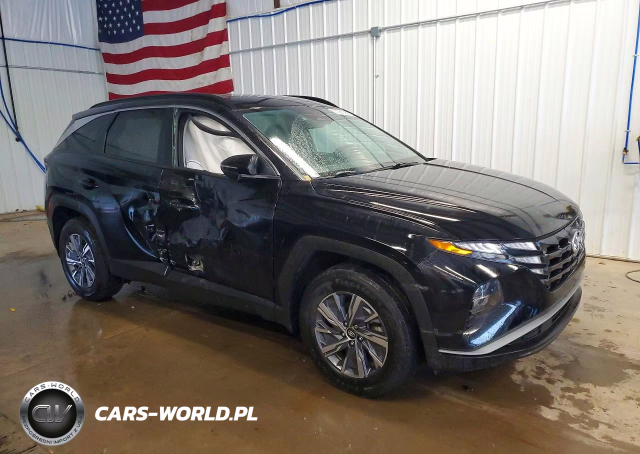 2023 Hyundai Tucson Blue VIN:KM8JBCA15PU091871 - 4
