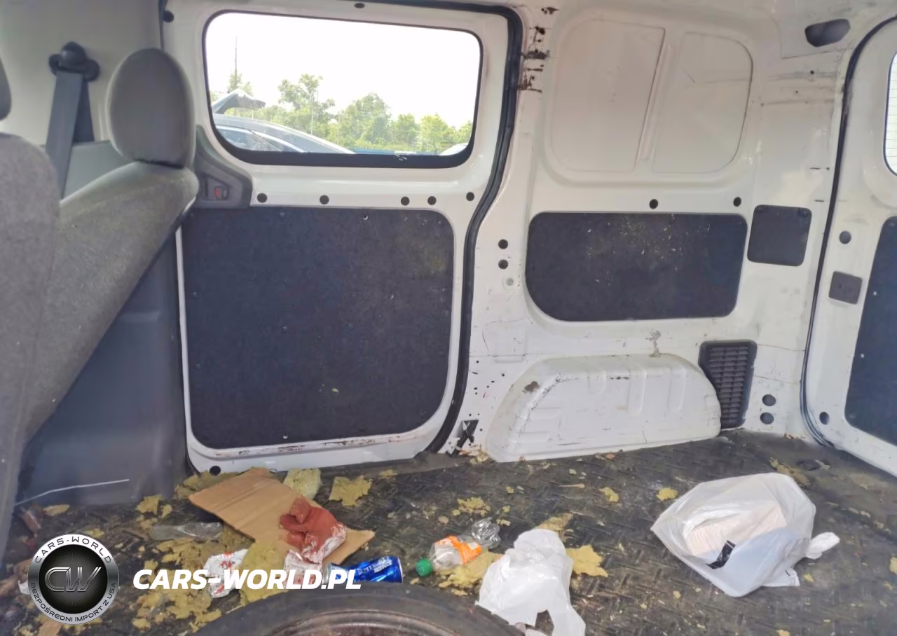 2015 Chevrolet City Express Ls Van VIN:3N63M0YN5FK699383 - 11