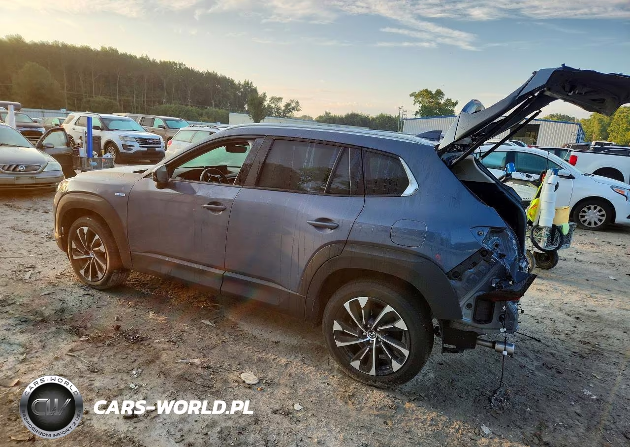 2025 Mazda Cx-50 Premium Plus VIN:7MMVAAEW1SN135838 - 2