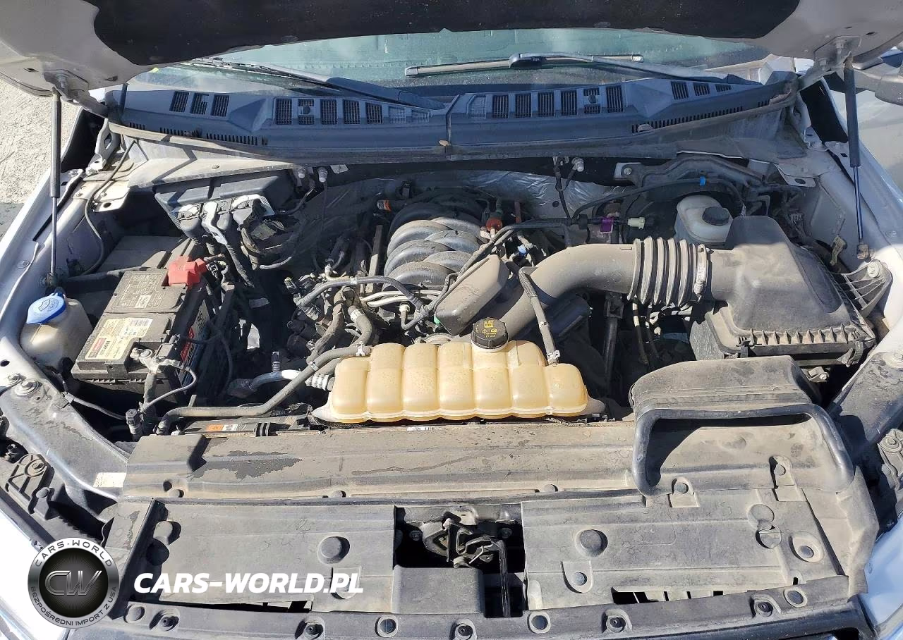 2019 Ford F150 Supercrew VIN:1FTFW1E58KKD18989 - 11