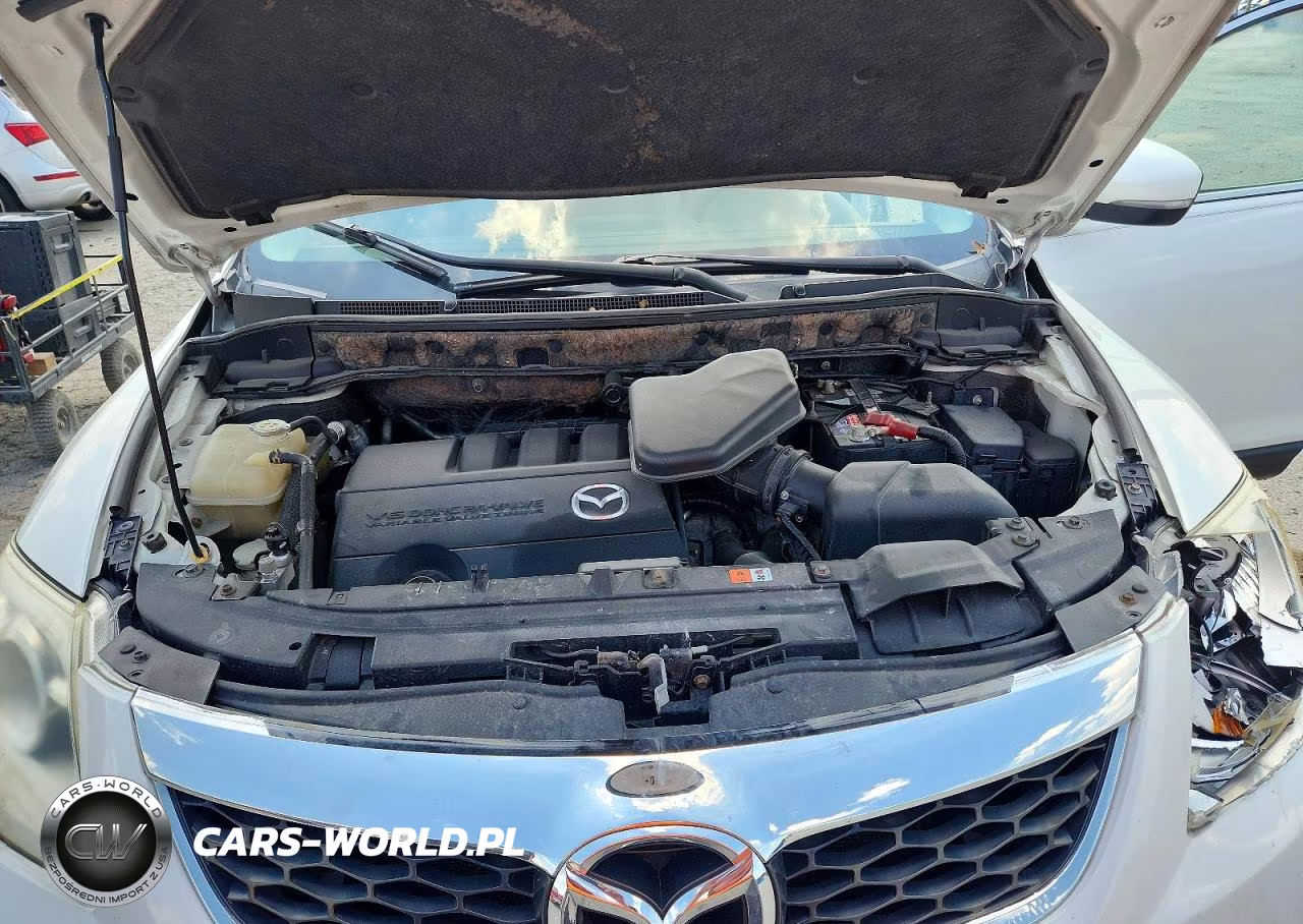 2011 Mazda Cx-9 VIN:JM3TB3DA5B0300834 - 12
