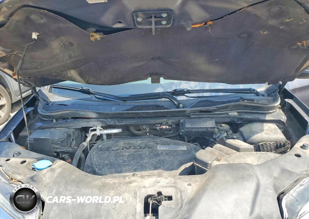 2019 Honda Pilot Exl VIN:5FNYF6H55KB026134 - 12