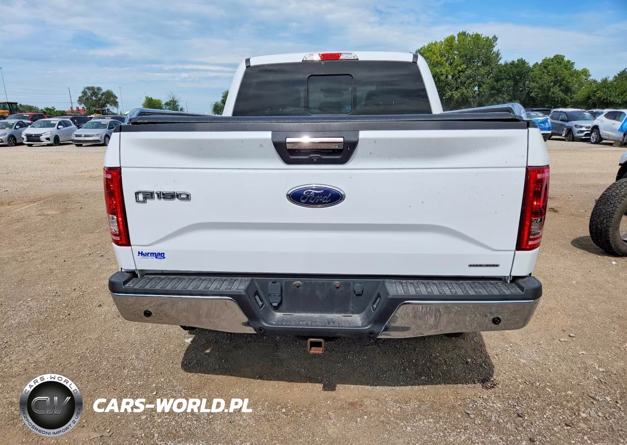 2016 Ford F150 Supercrew VIN:1FTEW1EF2GKE55244 - 6