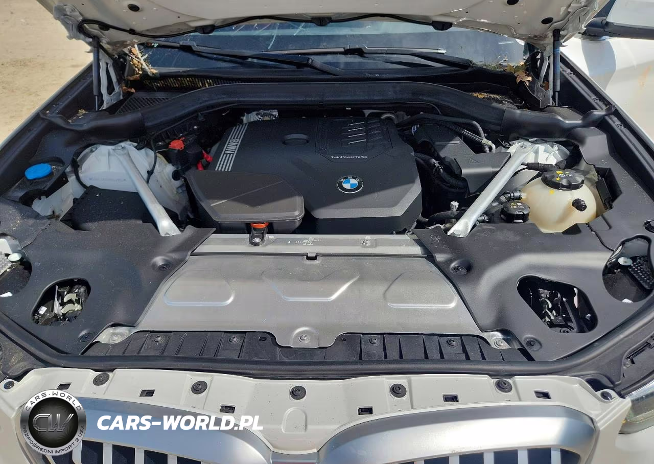 2023 BMW X3 Sdrive30I VIN:5UX43DP07P9S50992 - 12