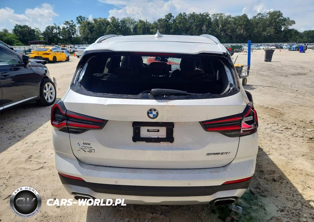 2023 BMW X3 Sdrive30I VIN:5UX43DP07P9S50992 - 6