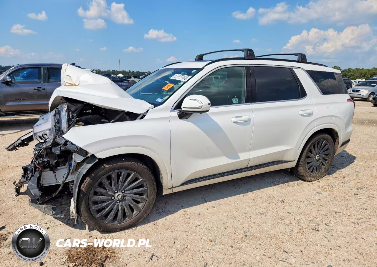 2024 Hyundai Palisade Calligraphy Night Edition VIN:KM8R7DGE5RU725591 - 1