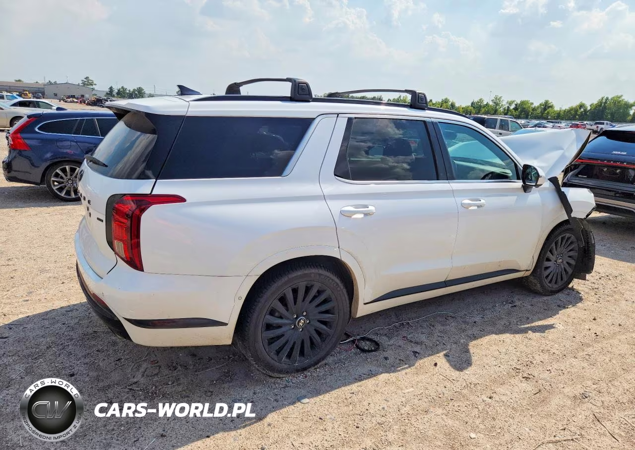 2024 Hyundai Palisade Calligraphy Night Edition VIN:KM8R7DGE5RU725591 - 3