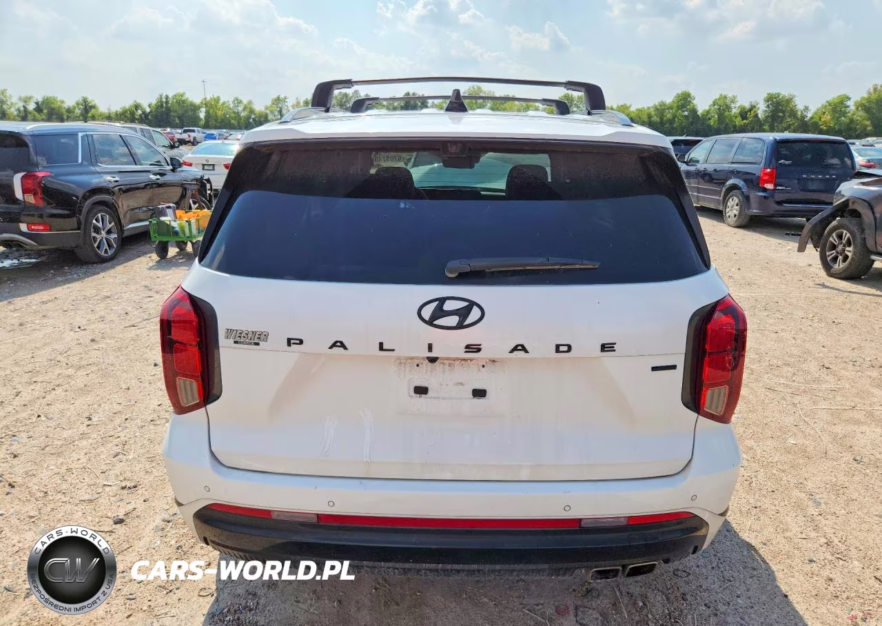 2024 Hyundai Palisade Calligraphy Night Edition VIN:KM8R7DGE5RU725591 - 6