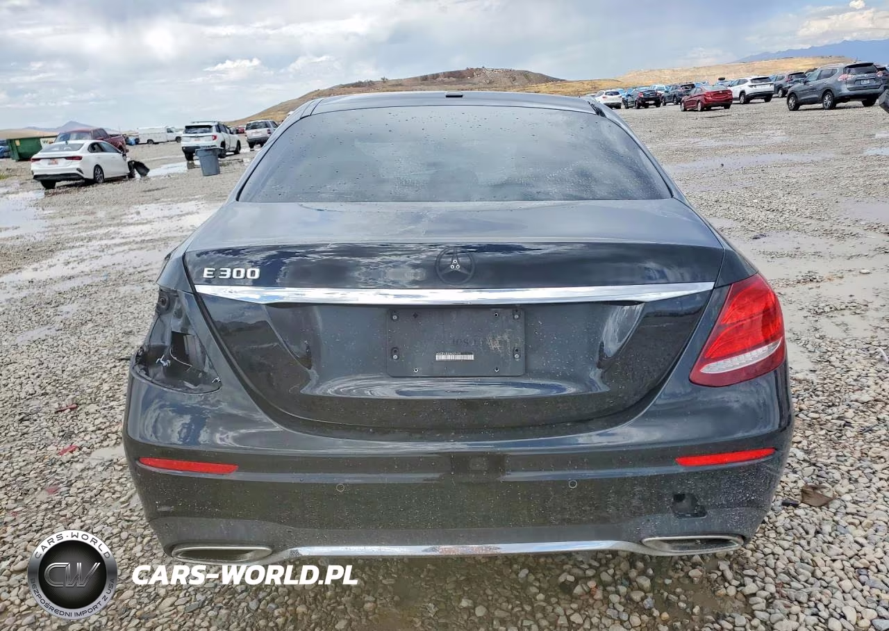 2017 Mercedes-Benz E 300 VIN:WDDZF4JB3HA009459 - 6