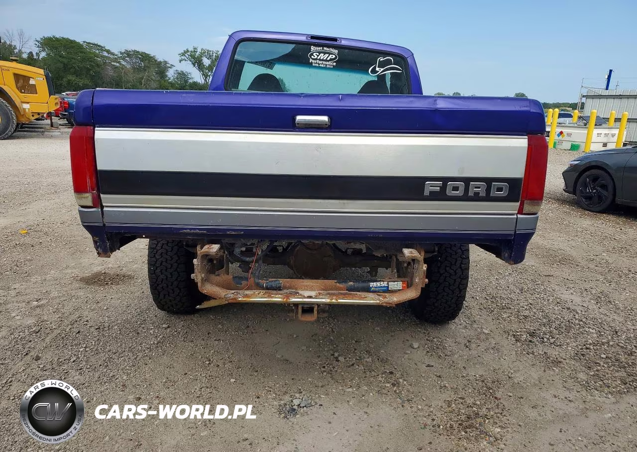 1995 Ford F150 VIN:1FTEX14H3SKA06938 - 6