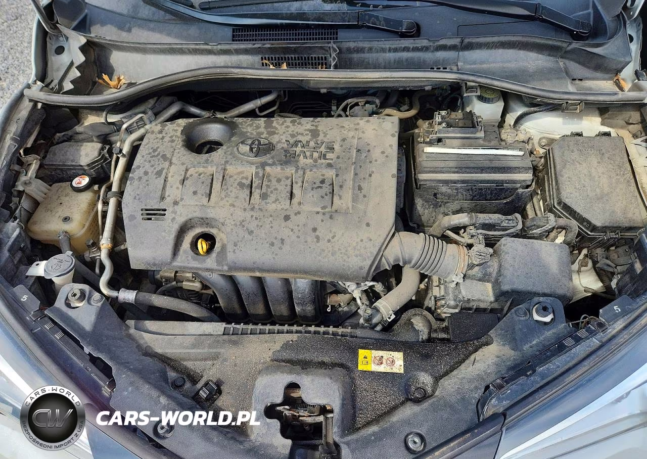 2019 Toyota C-Hr Xle VIN:JTNKHMBXXK1060959 - 11