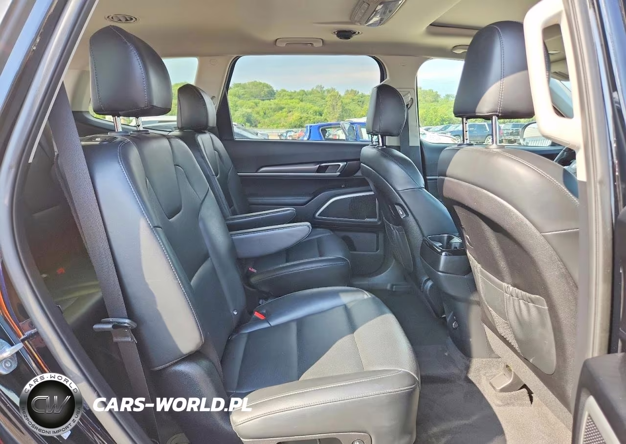 2021 Kia Telluride S VIN:5XYP6DHC8MG139196 - 11