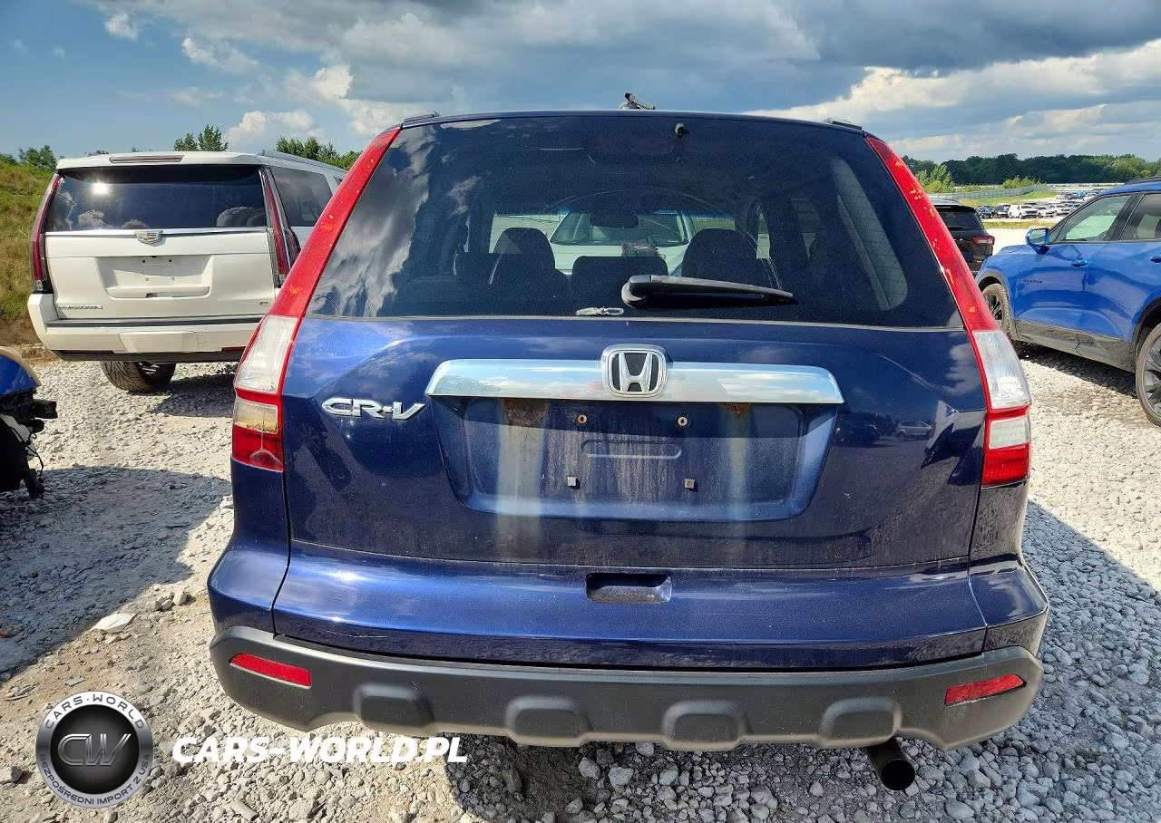 2009 Honda Cr-V Exl VIN:5J6RE48799L036132 - 6