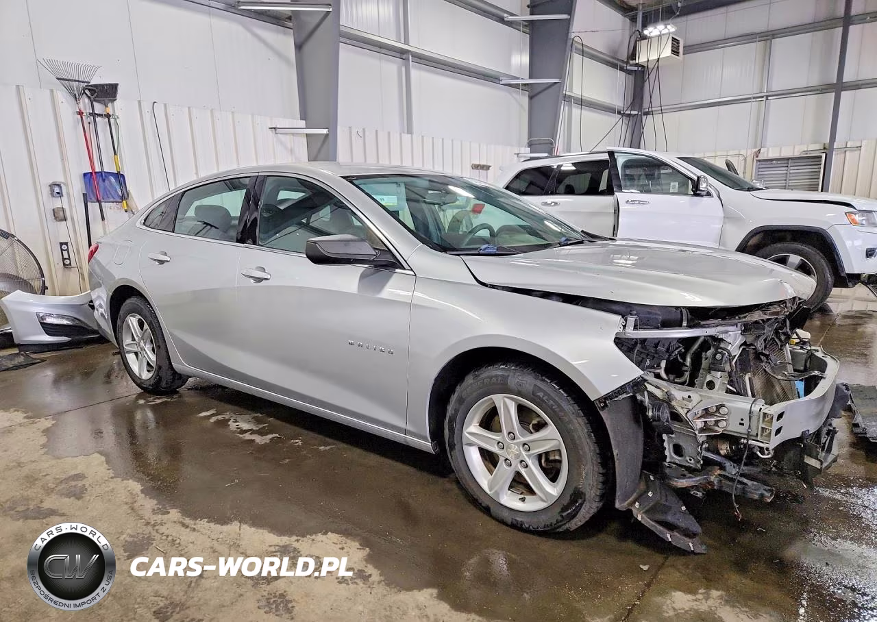 2019 Chevrolet Malibu Ls VIN:1G1ZB5ST3KF218660 - 4