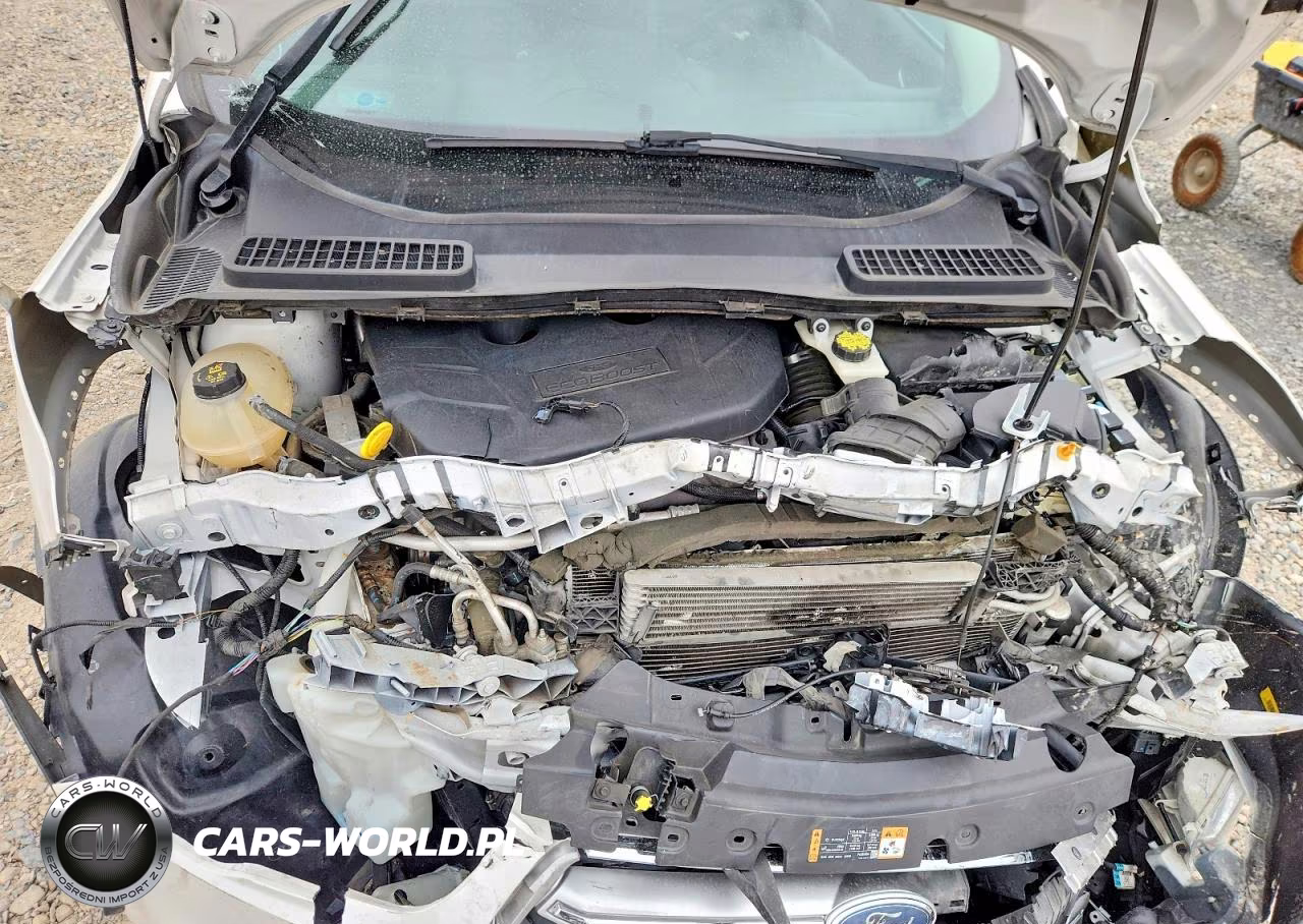 2017 Ford Escape Titanium VIN:1FMCU9J91HUB62576 - 11