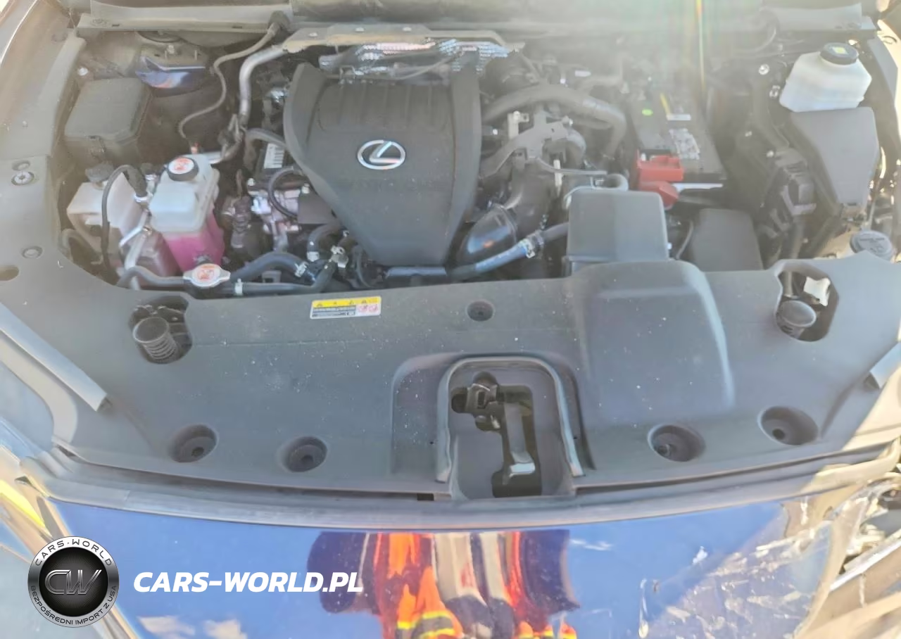 2023 Lexus Rx 350 Luxury VIN:2T2BAMCA9PC018185 - 12