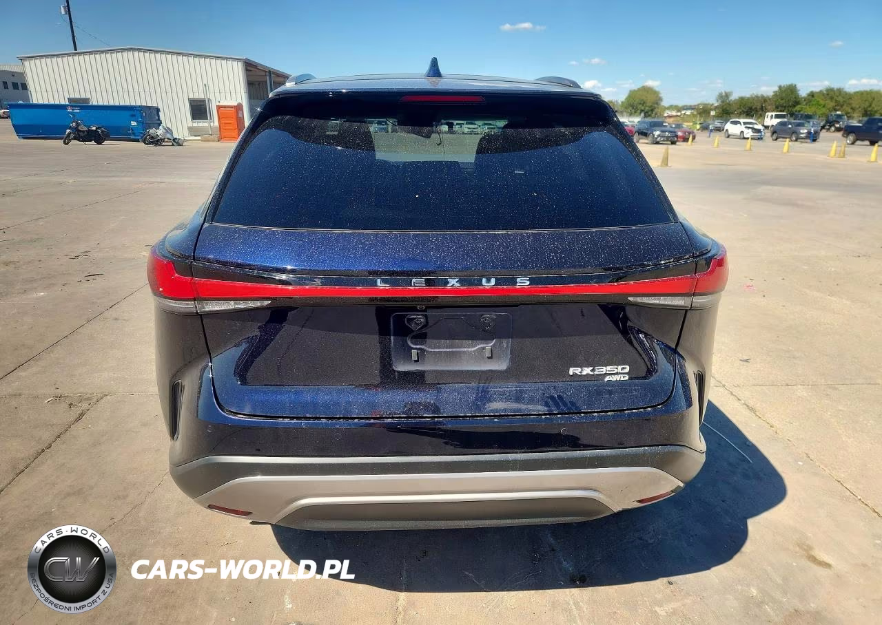 2023 Lexus Rx 350 Luxury VIN:2T2BAMCA9PC018185 - 6