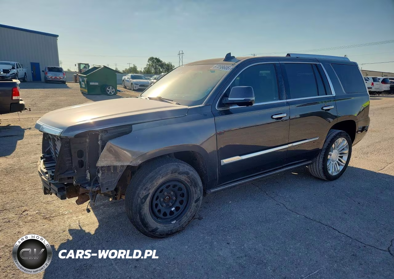 2016 Cadillac Escalade Platinum VIN:1GYS4DKJ0GR198928 - 1