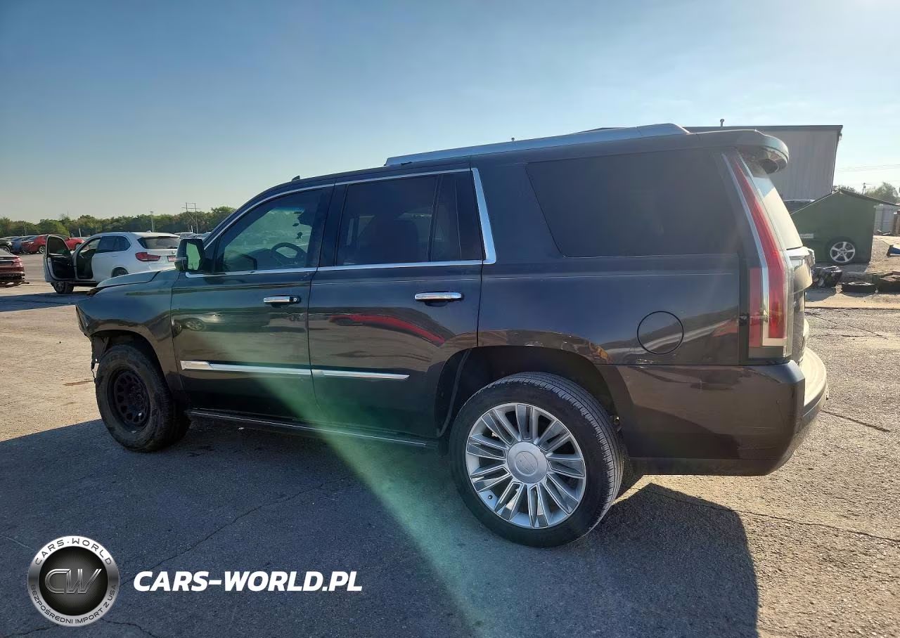 2016 Cadillac Escalade Platinum VIN:1GYS4DKJ0GR198928 - 2