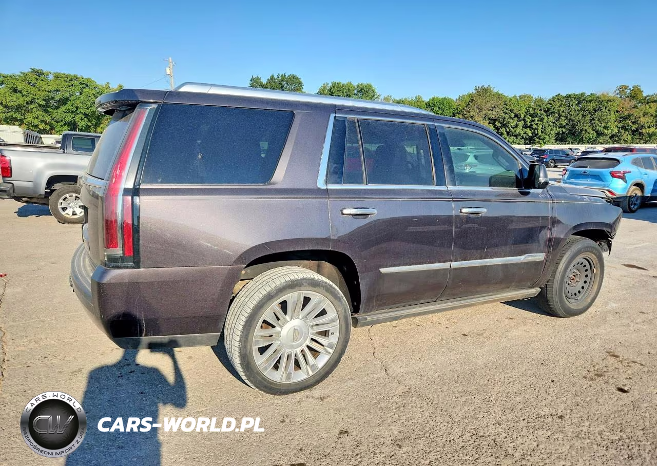 2016 Cadillac Escalade Platinum VIN:1GYS4DKJ0GR198928 - 3