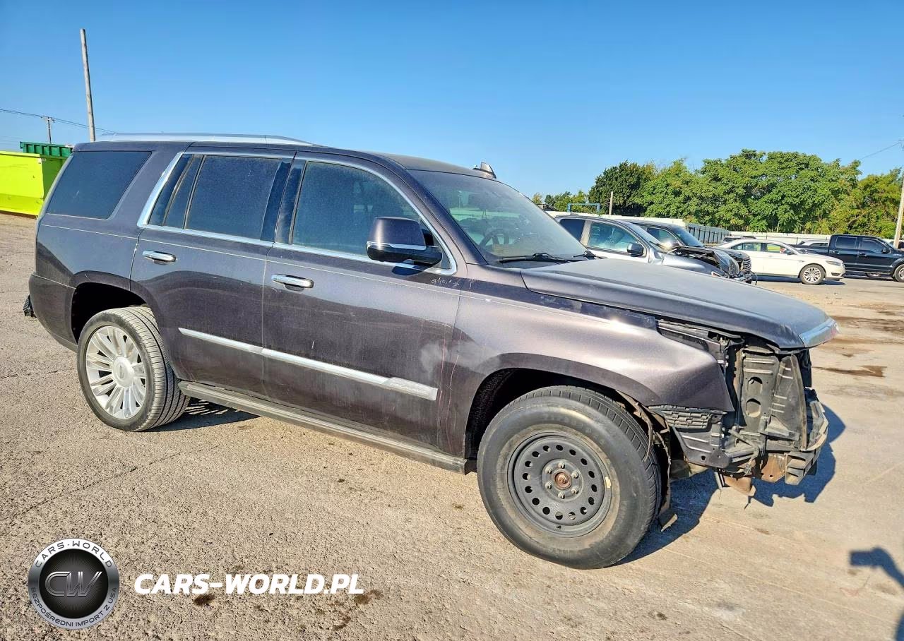 2016 Cadillac Escalade Platinum VIN:1GYS4DKJ0GR198928 - 4
