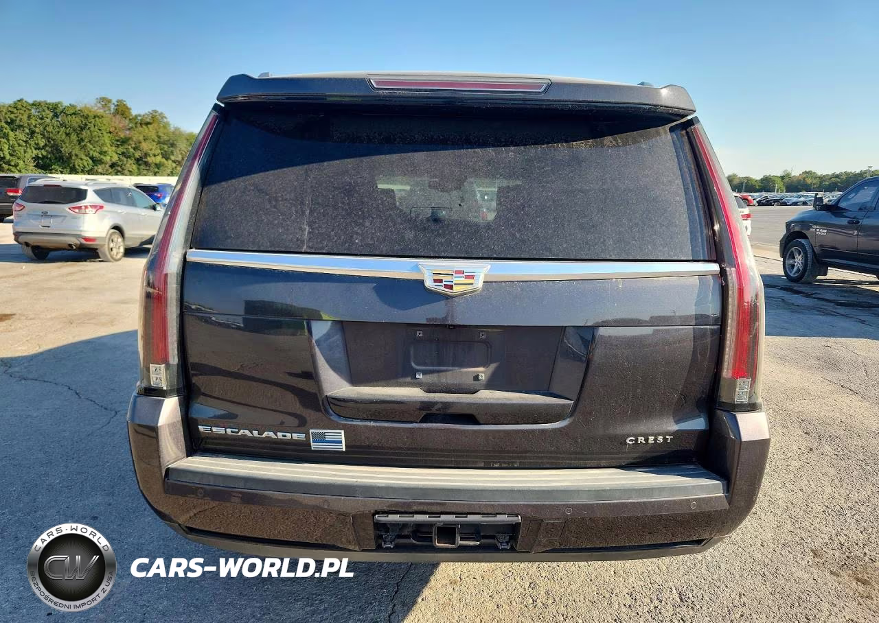 2016 Cadillac Escalade Platinum VIN:1GYS4DKJ0GR198928 - 6