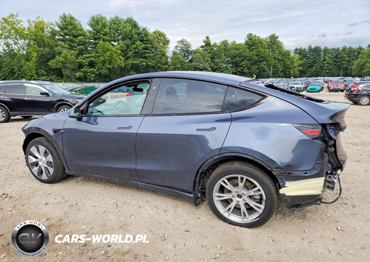2023 Tesla Model Y VIN:7SAYGDEE4PF888311 - 2