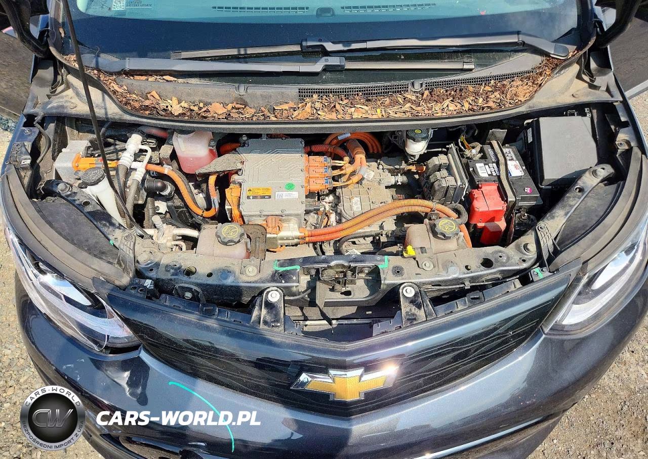 2017 Chevrolet Bolt Ev Lt VIN:1G1FW6S02H4148821 - 11