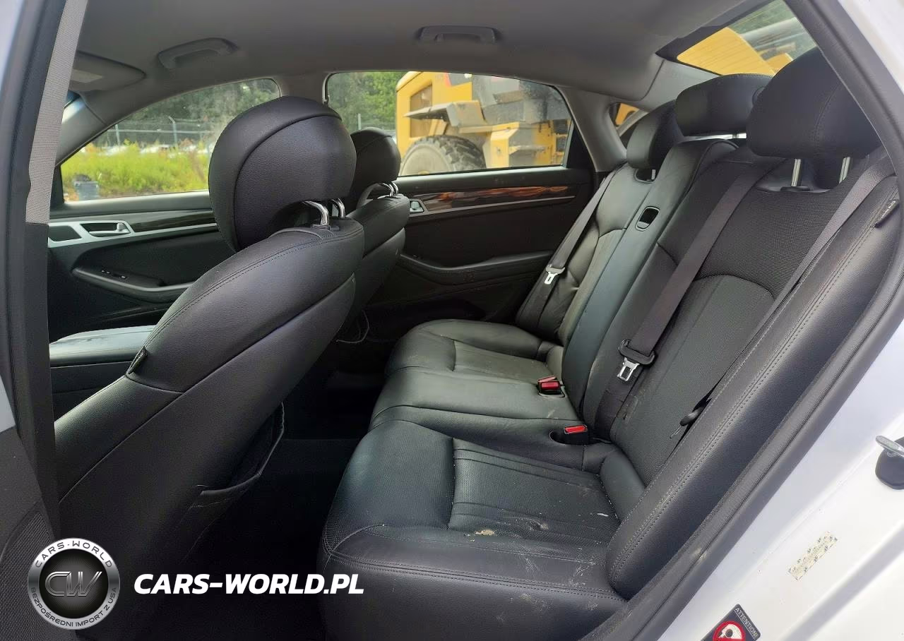 2015 Hyundai Genesis 3.8L VIN:KMHGN4JE6FU054644 - 10