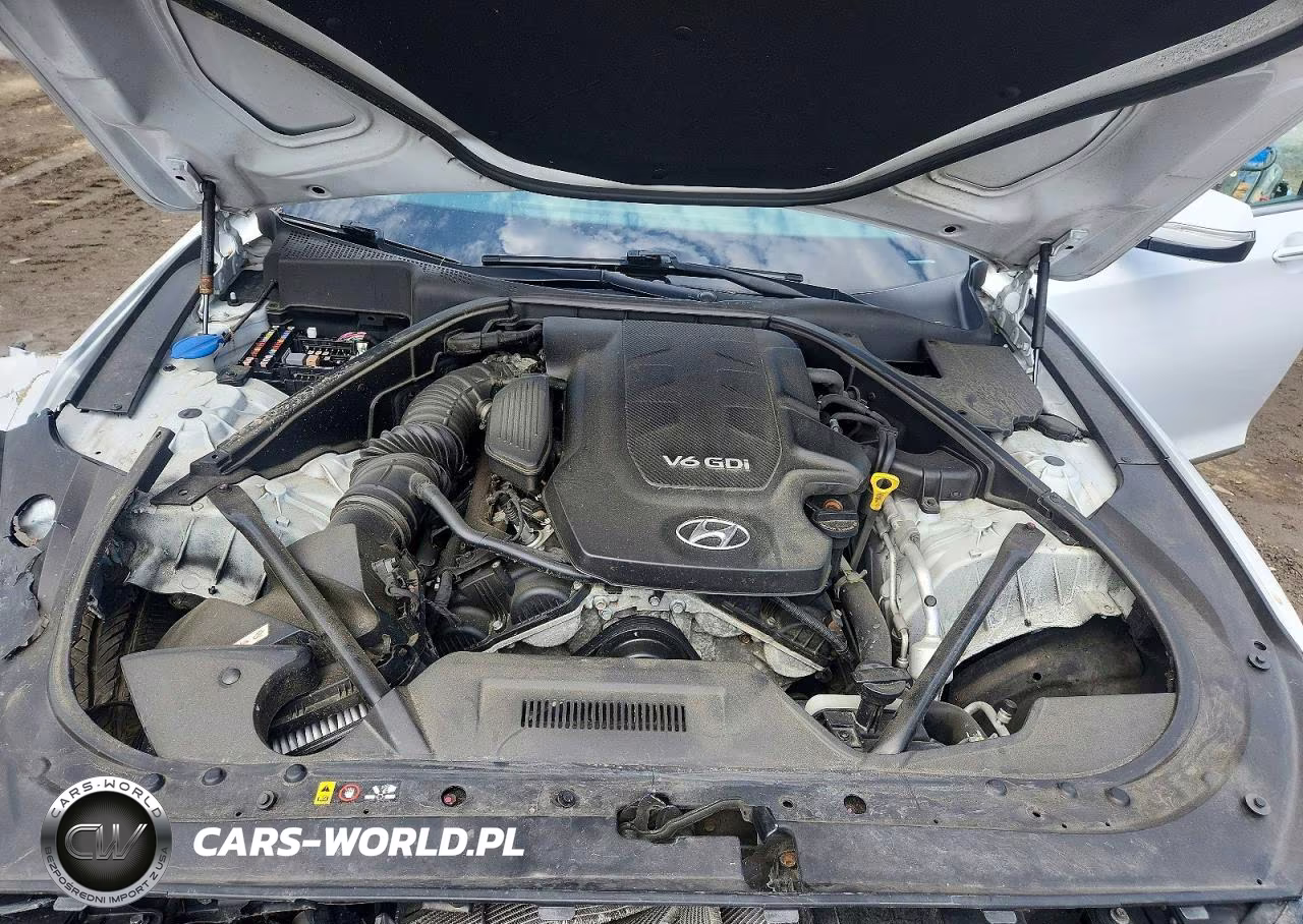 2015 Hyundai Genesis 3.8L VIN:KMHGN4JE6FU054644 - 11
