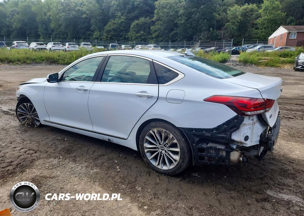 2015 Hyundai Genesis 3.8L VIN:KMHGN4JE6FU054644 - 2