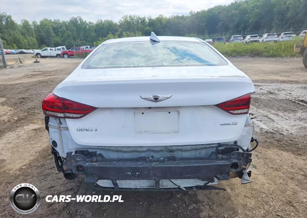 2015 Hyundai Genesis 3.8L VIN:KMHGN4JE6FU054644 - 6