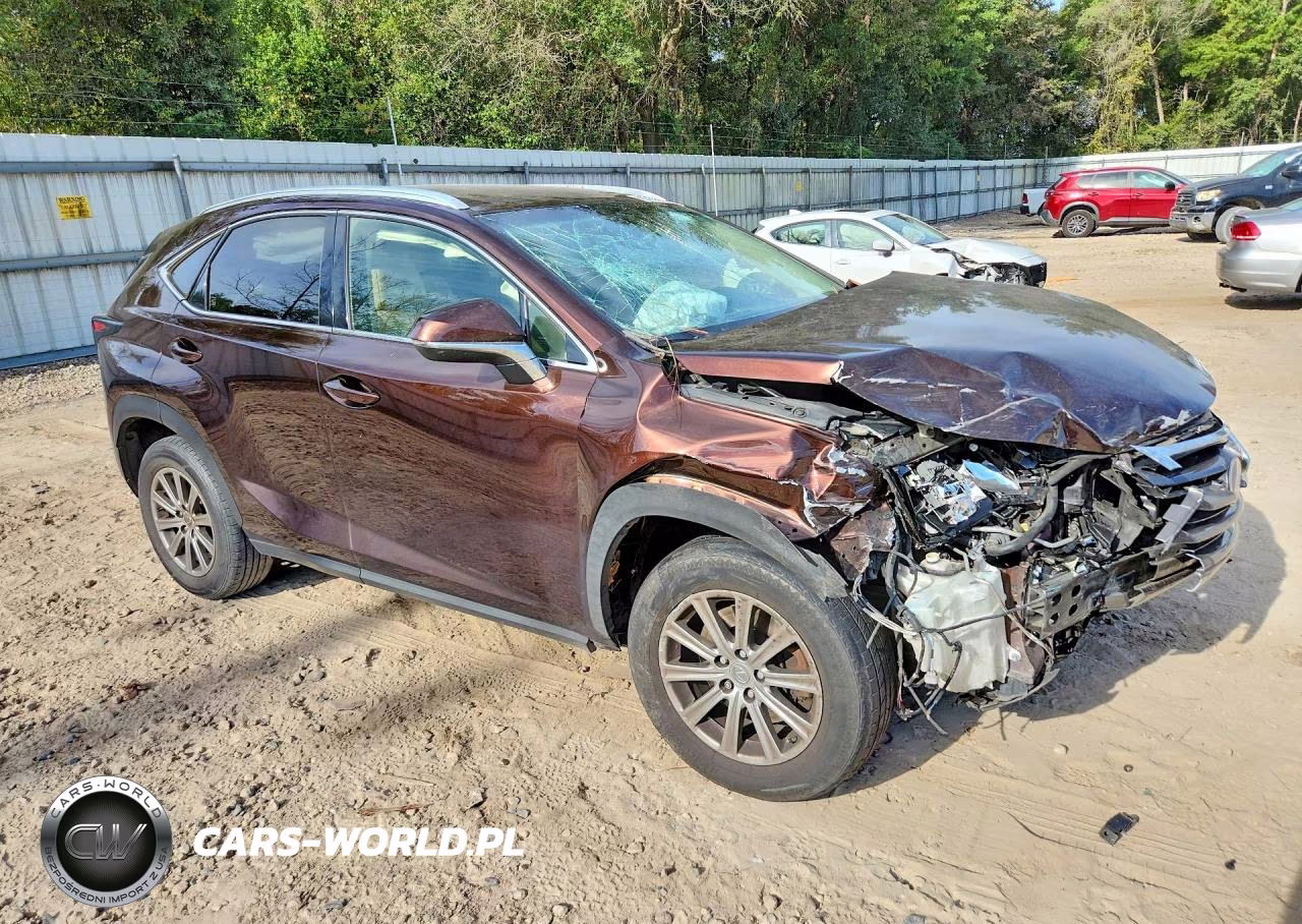 2016 Lexus Nx 200T Base VIN:JTJYARBZ4G2036995 - 4