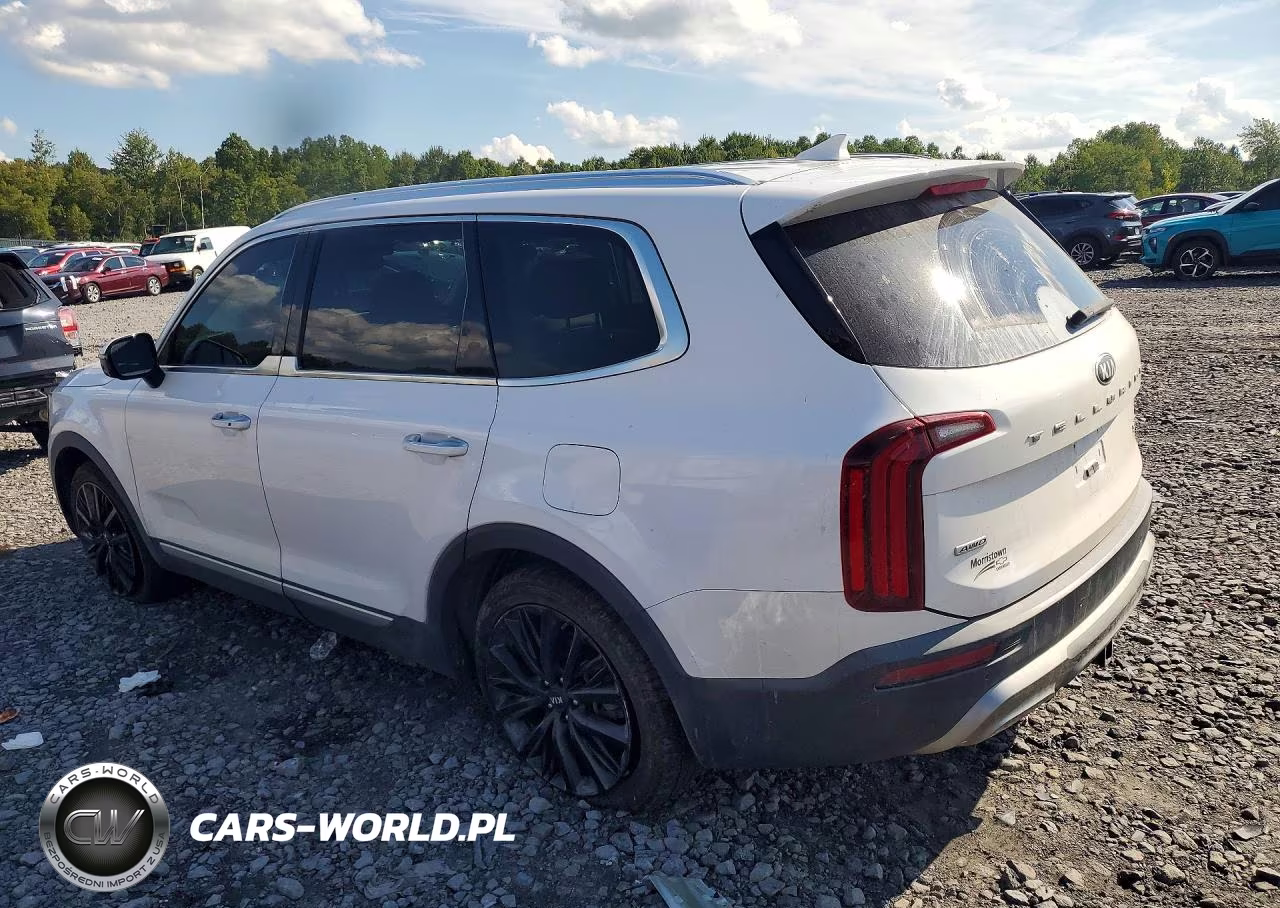 2021 Kia Telluride Sx VIN:5XYP5DHC9MG175305 - 2