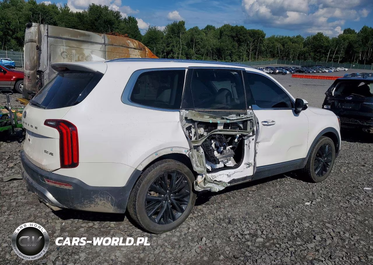 2021 Kia Telluride Sx VIN:5XYP5DHC9MG175305 - 3