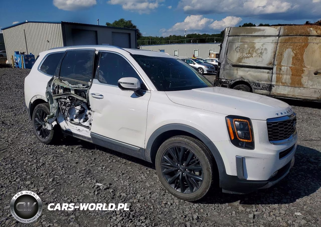 2021 Kia Telluride Sx VIN:5XYP5DHC9MG175305 - 4
